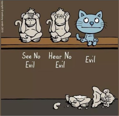 15616_caturday%20evil%20majorgeeks.jpg