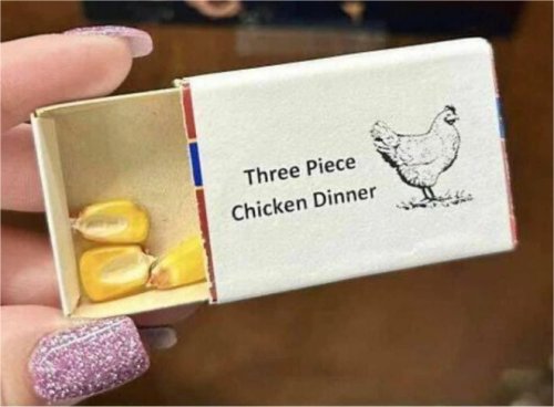 18340_chicken%20dinner%20majorgeeks.jpg
