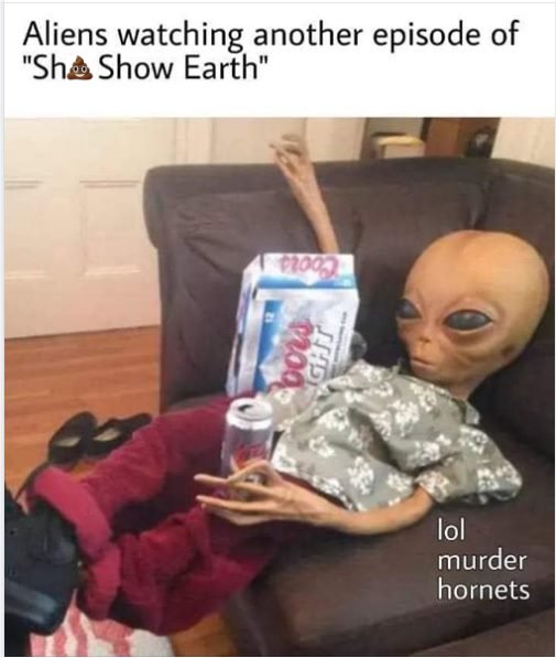 14235_aliens%20watching%20majorgeeks.jpg