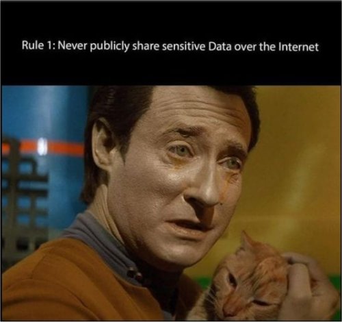 19101_sharing%20sensitive%20data%20on%20caturdaymajorgeeks.jpg