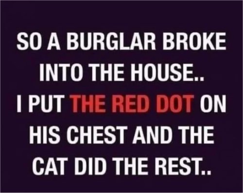 19170_red%20dot%20caturday%20majorgeeks.jpg
