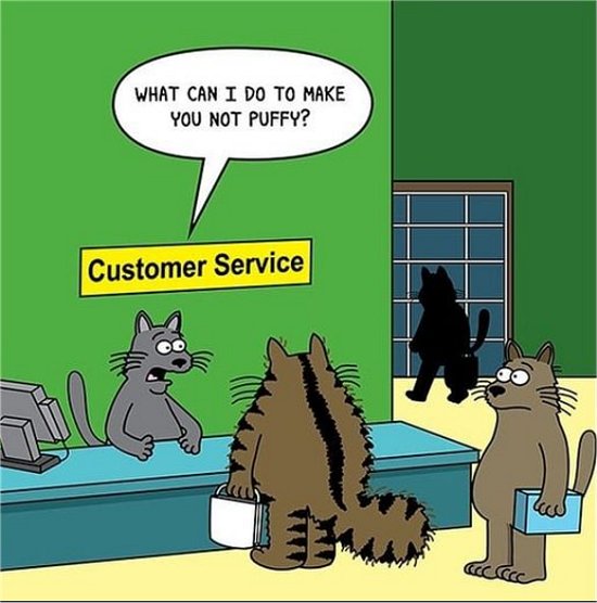 20154_caturdayservice%20majorgeeks.jpg