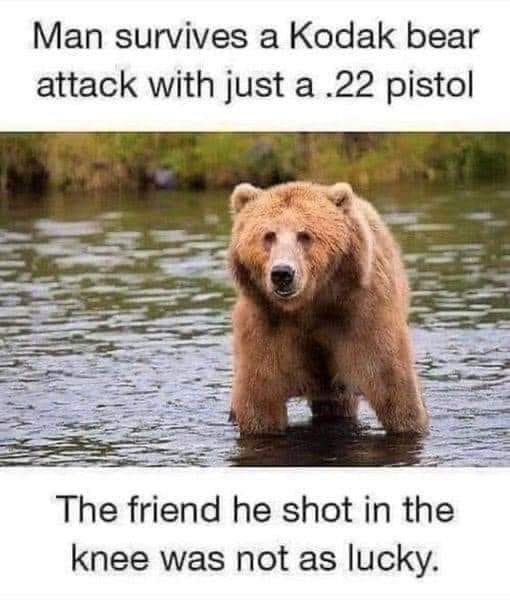 18763_bear-survival.jpg