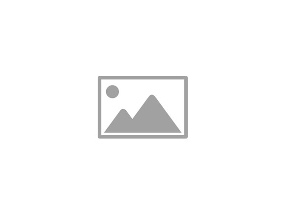 www.blitzquotidiano.it