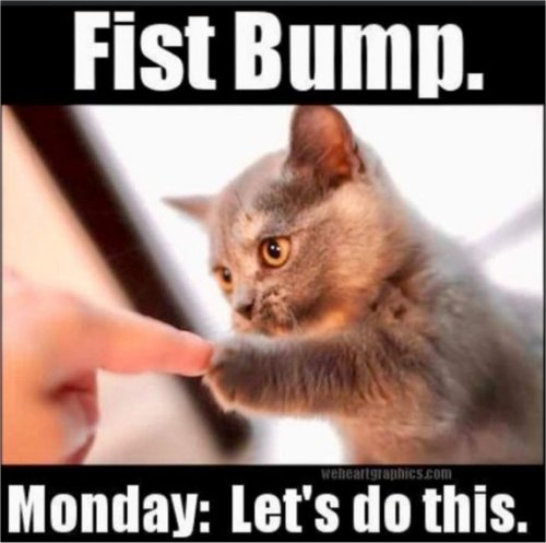 20042_fist%20bump%20monday%20majorgeeks.jpg