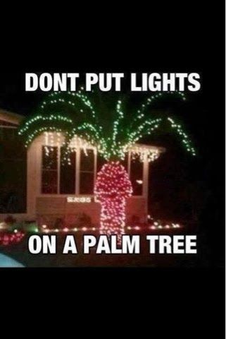 2286_christmas%204.jpg