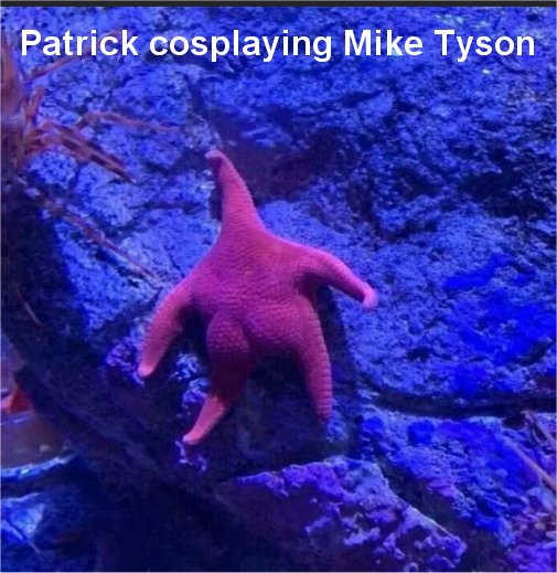 20169_turn%20around%20patrick%20majorgeeks.jpg