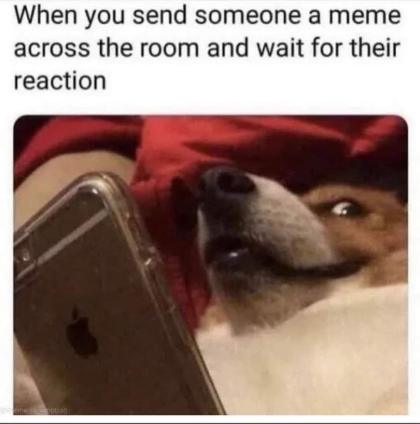 18615_meme-share.jpg