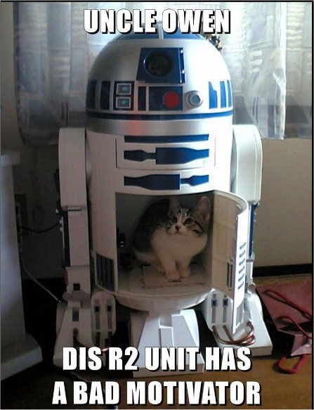 19506_may%204%20caturday%20majorgeeks11.jpg