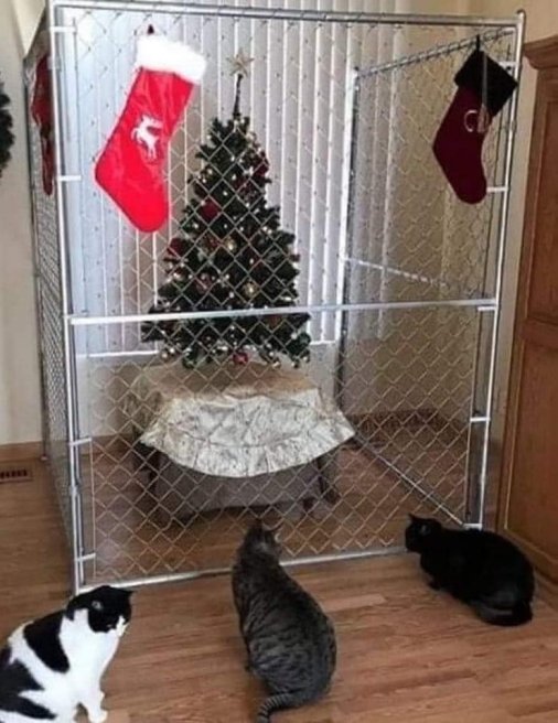 18934_caturdaytree%20majorgeeks.jpg