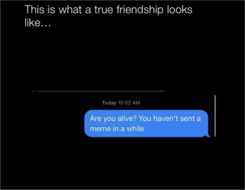 18309_true%20friendship%20majorgeeks.jpg