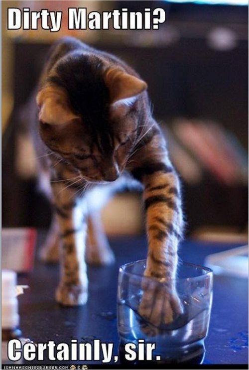 18567_dirty%20caturday%20martini%20%20majorgeeks.jpg