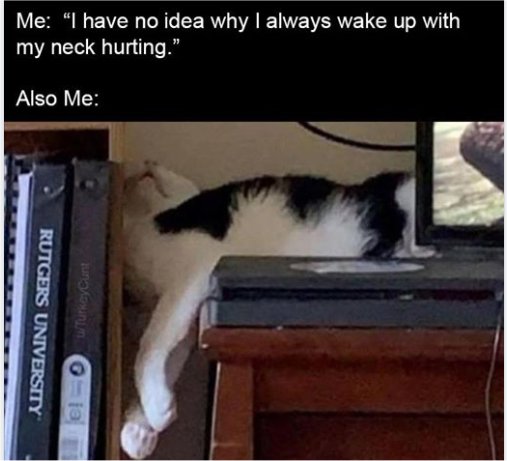 20513_caturday%20wake%20up%20majorgeeks.jpg