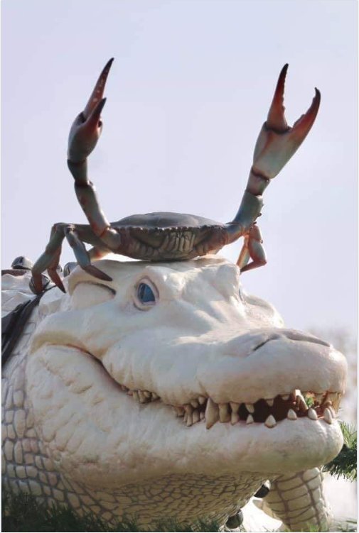 12271_florida%20reindeer%20majorgeeks.jpg