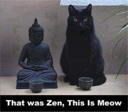 18502_zen%20caturday%20majorgeeks.jpg