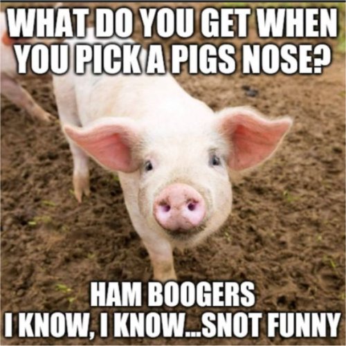 18010_hambooger%20majorgeeks1.jpg