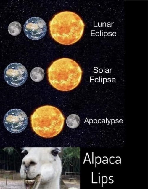 19401_eclipse%203%20majorgeeks.jpg