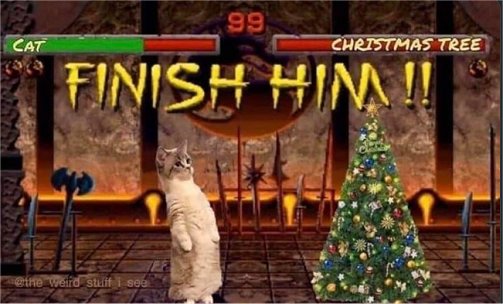 18955_finish%20him%20caturday%20majorgeeks.jpg