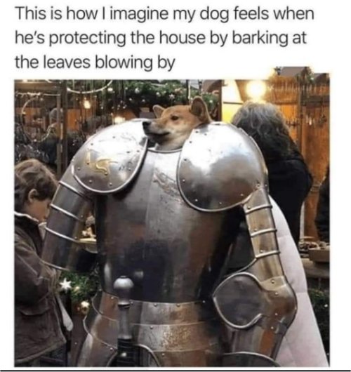 18925_home%20protection%20majorgeeks.jpg