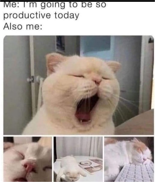 18612_1%20productivity%20caturday%20majorgeeks.jpg