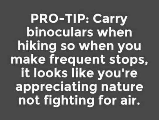 17783_protip.jpg