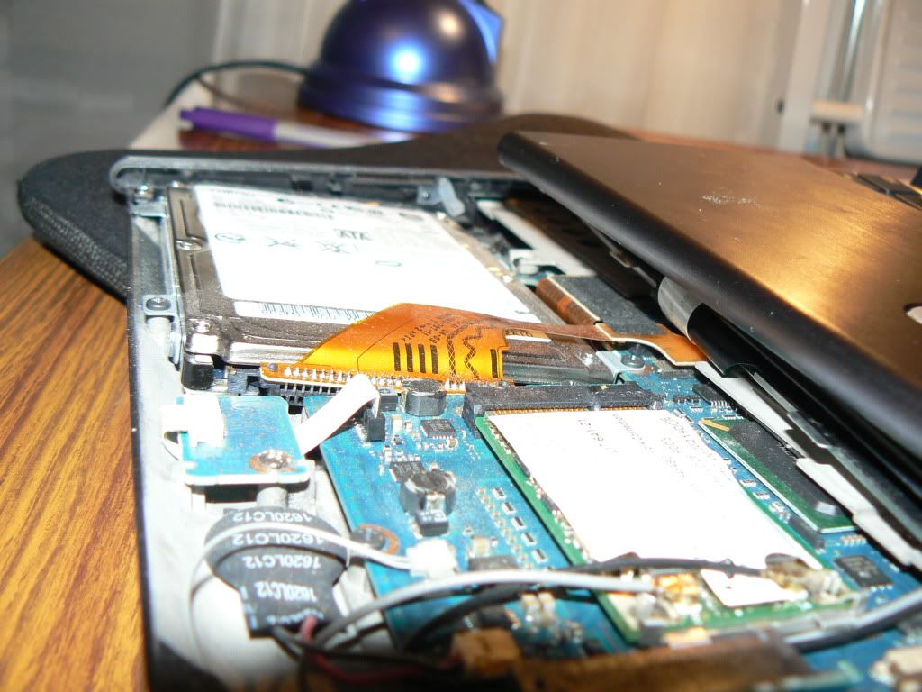 sony2.jpg
