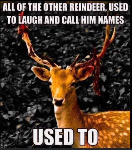 18989_rudolph%20the%20rednose%20%20majorgeeks.jpg