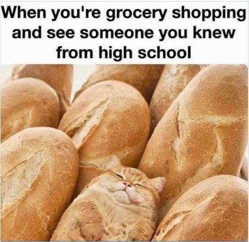 19923_caturday%20grocery%20shopping%20majorgeeks.jpg