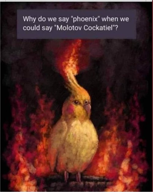 19423_phoenix%20majorgeeks.jpg