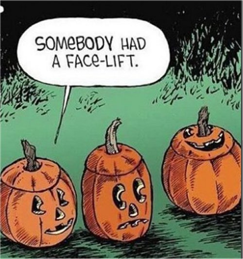 18817_halloween%206%20majorgeeks.jpg