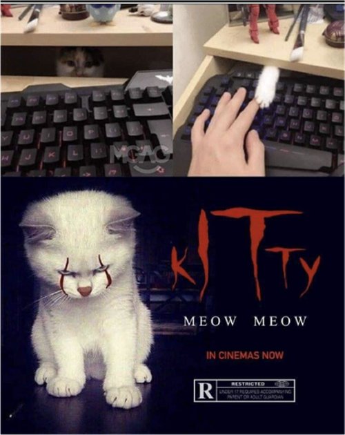 18780_it%20kitty%20caturday%20majorgeeks.jpg
