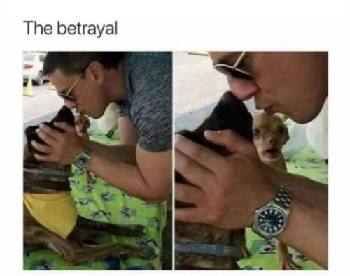 19071_betrayal%20%20majorgeeks.jpg