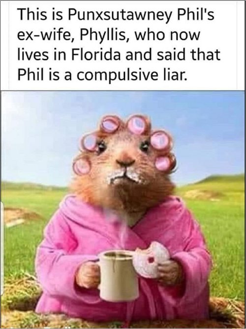 19146_groundhog%20day%20liar%20majorgeeks.jpg