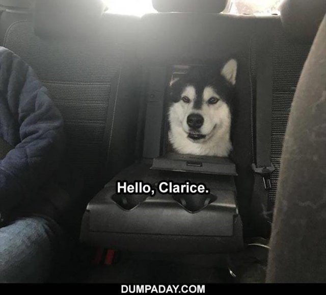 15816_hello%20clarice%20majorgeeks.jpg