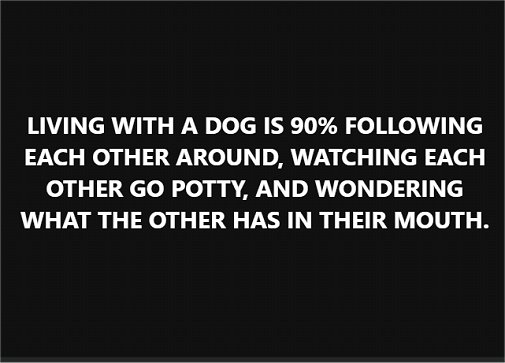 20005_living%20with%20a%20dog%20majorgeeks.jpg