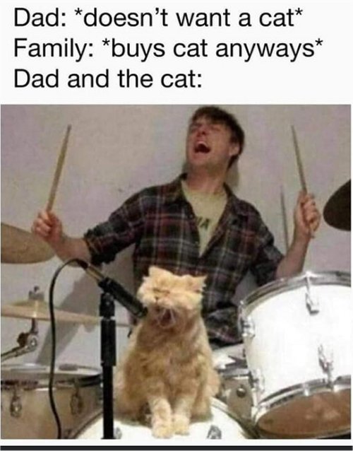 17617_daddy%20caturday%20majorgeeks.jpg