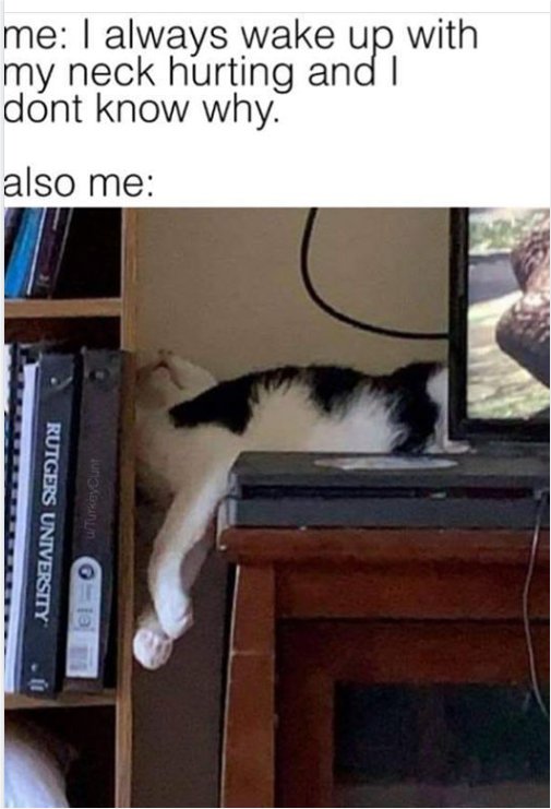 19527_pain%20in%20the%20neck%20caturday%20majorgeeks.jpg