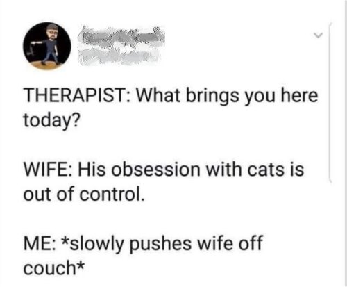 17448_therapy%20caturday%20majorgeeks.jpg