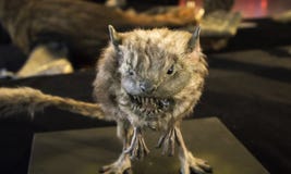 carnivore-demon-mouse-fangs-supernatural-animals-89141415.jpg