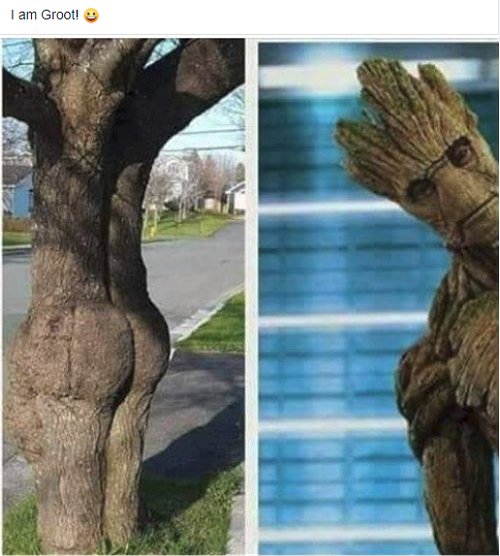 12363_woot%20woot%20groot%20majorgeeks2.jpg