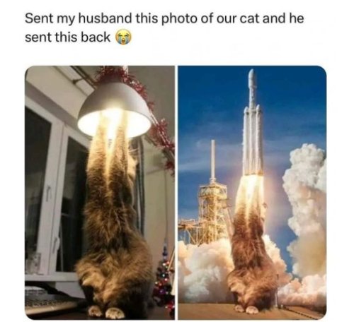 19076_caturday%20blast%20off%20%20majorgeeks.jpg