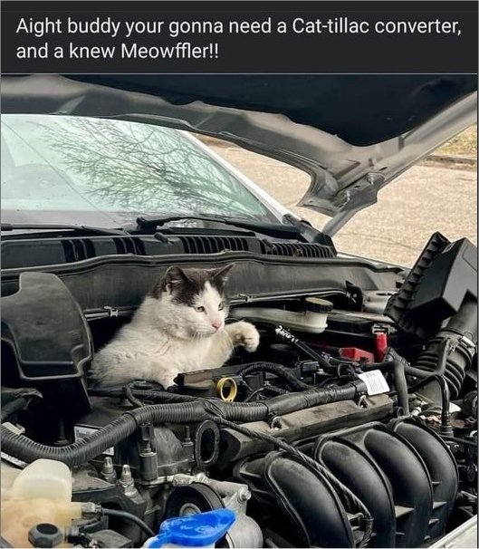 20155_caturday%20mechanics%20majorgeeks.jpg