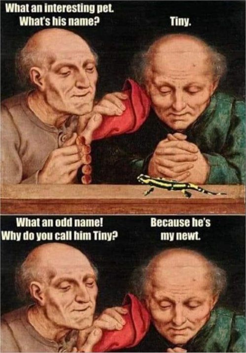 19635_my%20newt%20majorgeeks.jpg