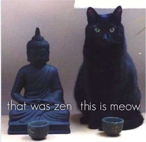 13681_zen%20and%20now%20majorgeeks.jpg